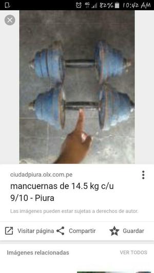 Par de Mancuernas 14.5 Kg Cada Una