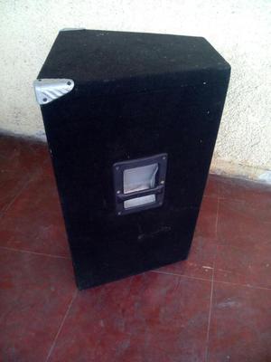 Vendo Sonido Profesional