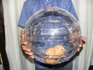 Esferas Gigante Grande Para Hamster Nuevas 19cm Diametro