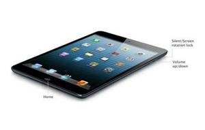 iPad Mini 32 Gb