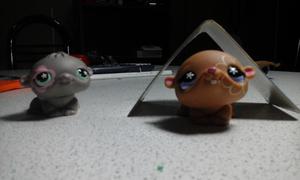 duo hamster little pet shop