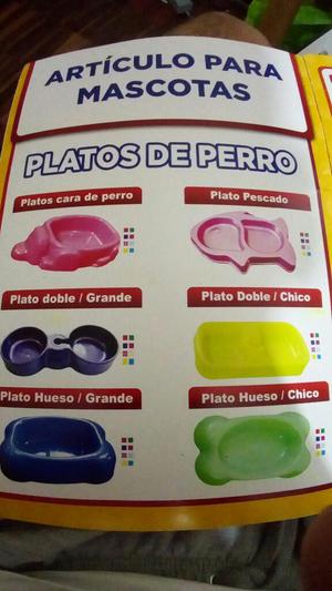 Accesorios para Mascota