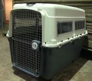 Transportador Kennel L120 para Mascotas