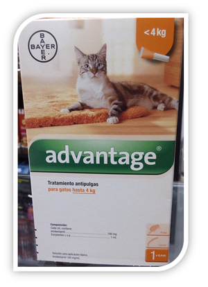 ADVANTAGE GATO HASTA 4 KILOS