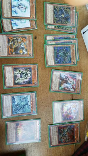 Cartas Yugioh Zooadic