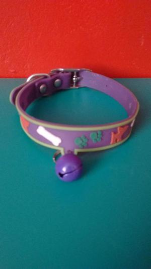 Collar para Gato