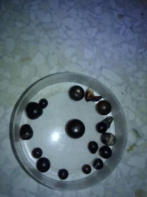 Vendo Perlas Naturales Unicas