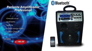 Parlante Amplificador Profesional