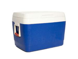 Cooler
