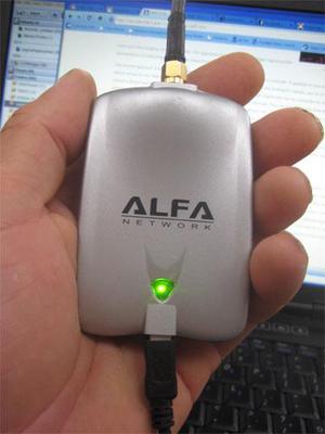 alfa network