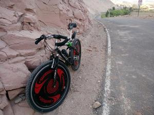 Bicicleta Montañera