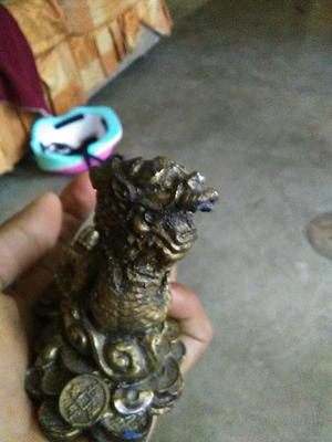 Dragon Dorado Chincha Peru shenglong