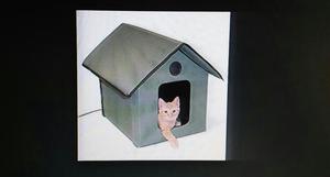 Casas para Gatos