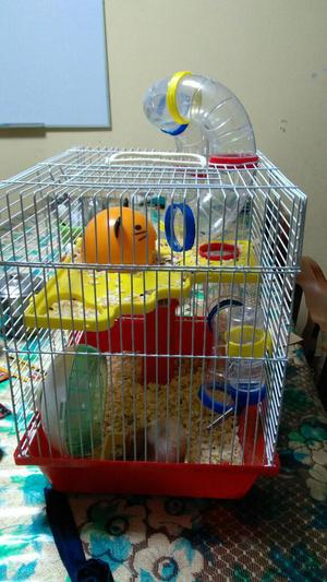 Se Vende Jaula para Hamster