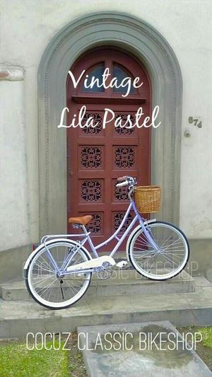 Bicicleta Paseo Vintage Europeo Mujer