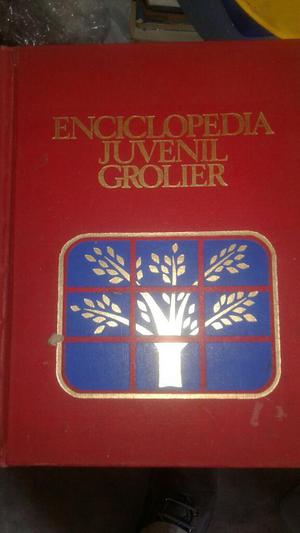 Remato Enciclopedia Juvenil Grolier