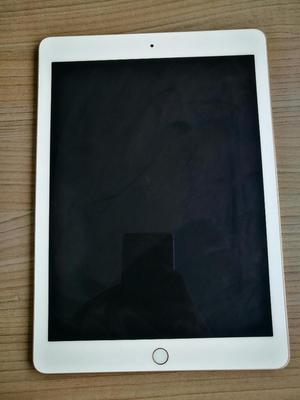 iPad Pro