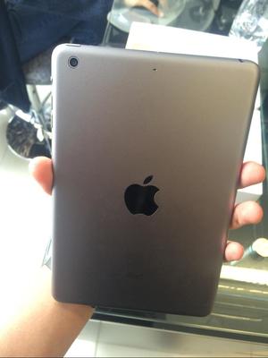 iPad 2 Mini 
