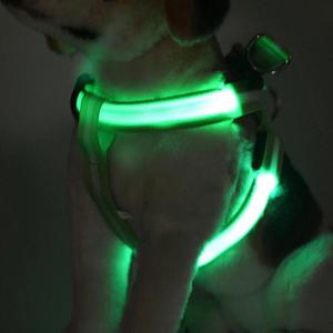 Arnes Led para Perros