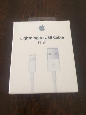 Cable para iPhone 1M Apple Original