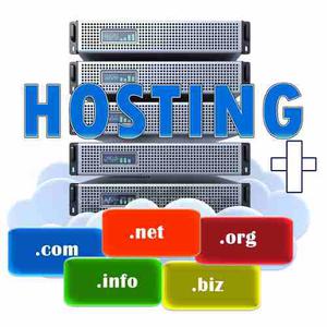 Web Hosting Linux + Dominio.com,.net,.org,.biz