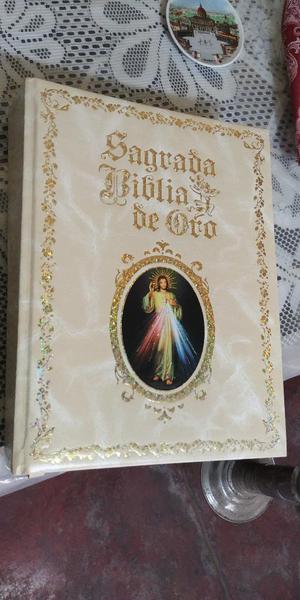Sagrada Biblia Edicion de Lujocolombiana