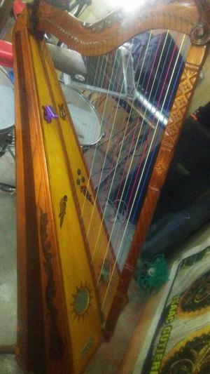 Vendo Un Arpa Pacchina Profesional