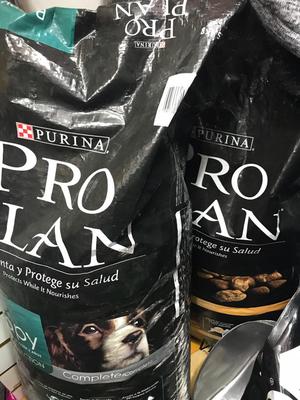 Vento Proplan Canbo