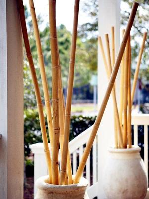 Cañas de bambú para decoración