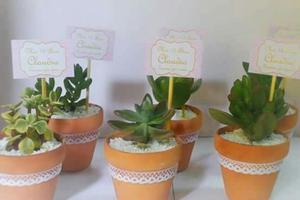 Plantas para Revuerdos Y Decoracion de I