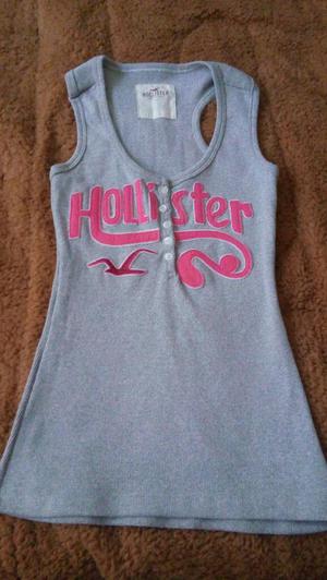 Polito Hollister