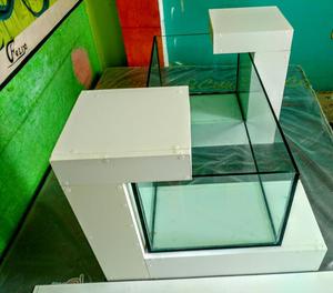 Acuario