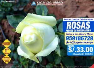 Feria en Línea de Caja Los Andes Flores Astromelias, Rosas