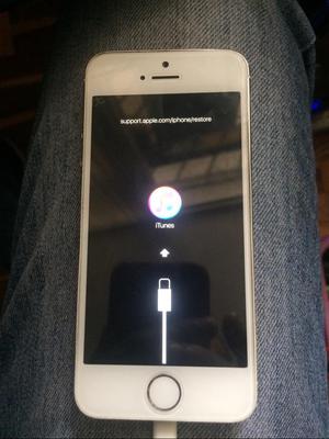 iPhone 5S Detalle