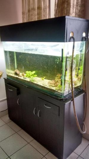 Vendo Acuario Amoblado Para 246 Litros