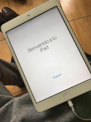 mini ipad 16gb