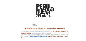 Camiseta Peru Nueva Zelanda Nort  C/u X Unidad