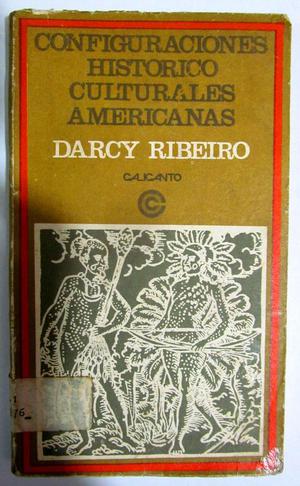 Configuraciones histórico culturales americanas. Darcy