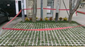 Venta E Instalacion Block Grass