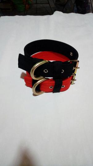 Collar de Anclaje para Perros