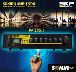 Amplificador Profesional Pa- Skp Pro Audio