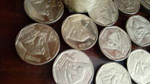 Monedas Del Oso De Anteojos