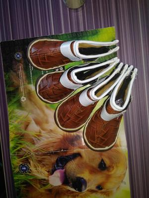 Zapatos para Mascotas Perros