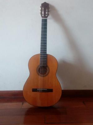 Guitarra Acusticafalcon