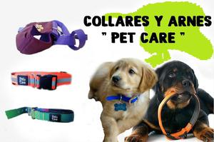 collares pet care