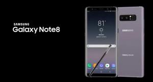 Note 8