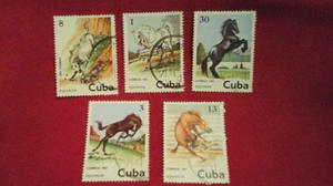 Cuba Estampillas De La Serie Equinos