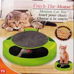 Juego De Gatos Atrapa Al Raton Mascotas