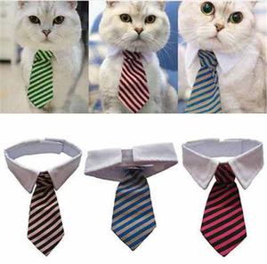 Corbata Para Mascotas Animales Gatos Perritos