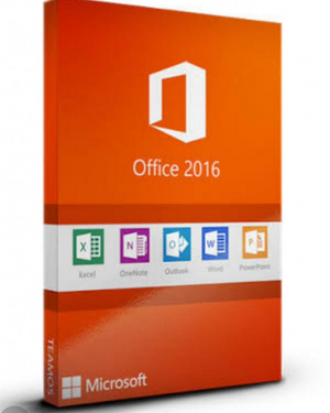 Microsoft Office Professional Plus  excel word